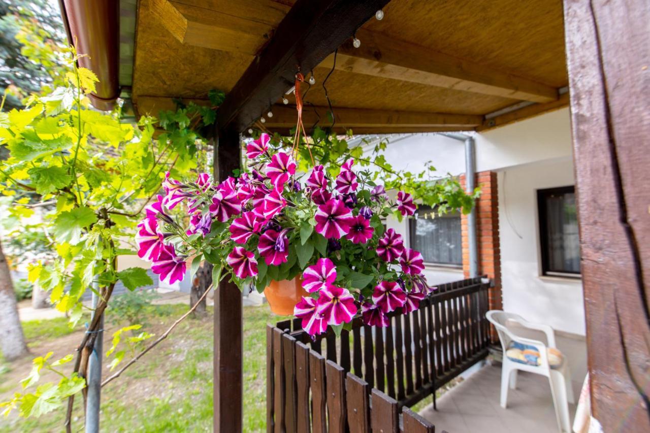 Apartman Marta I Soba Maja Gradiste ภายนอก รูปภาพ