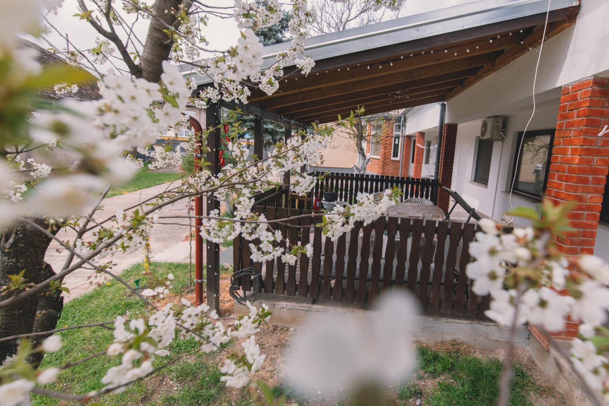 Apartman Marta I Soba Maja Gradiste ภายนอก รูปภาพ